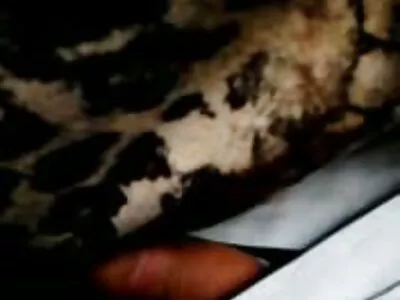 Bruneta fierbinte vrea xxx cu menajere să bea esperma atât de rău încât se ia cu un străin.