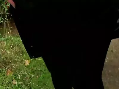 O brunetă bustină fete tinere sex curăță bucătăria iubitului ei și penisul lui